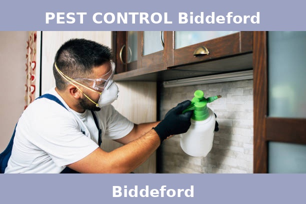 PEST CONTROL Biddeford